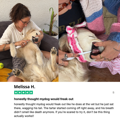 Canivet Kit - Silent Sonic Plaque & Tartar Remover for dogs